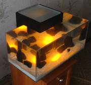 Дизайнерский 3D аквариум