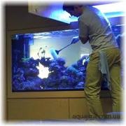 обслуживание аквариумов