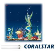 Аквариумные лампы Sylvania. Coralstar,  Aquastar,  Grolux,  AquaArc.